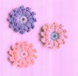 fleurs-de-picots-suite-Cliquez-Ici